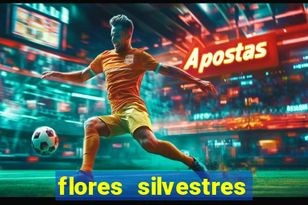 flores silvestres desbravadores desbravadores 25